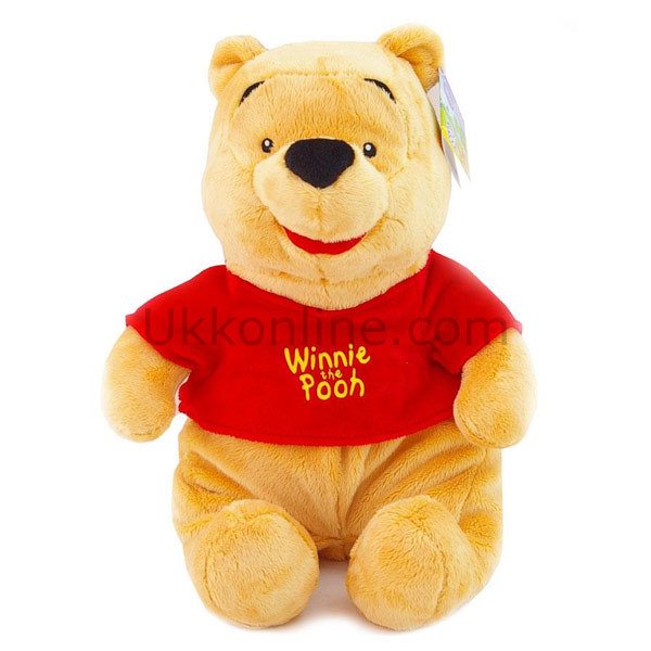 6031 2K  WTP POOH FLOPPY 43CM