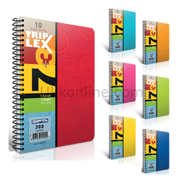 GIPTA AYRAÇLI DEFTER TRİPLEX SPR PP A-4 6+3 270 YP