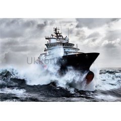 15795/EDU 500pcs KURTARMA BOTU /Educa /500 parça puzzle