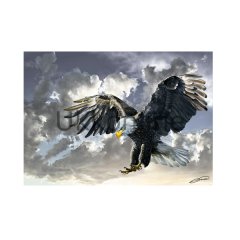 4167 SİYAH BEYAZ / ART Puzzle