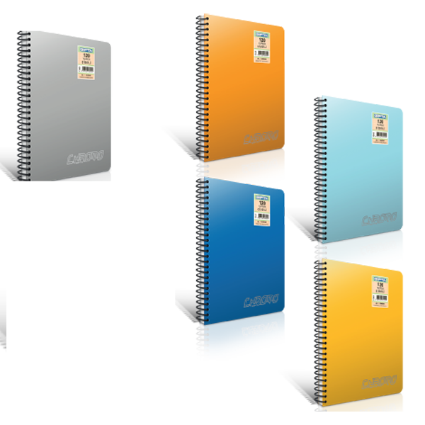 GIPTA CHROMO PP KAPAK DEFTER SPR A-4 120yp DÜZ